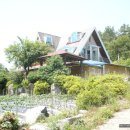 현대 민박 이미지