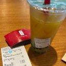 베베(Bebe) | [공지] 250503 [팀베베] Trendwave 팀 베베(BEBE)공연 후기 - 인천아시아드 주경기장 2층 시야