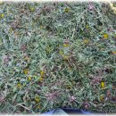 김치와 밑반찬 이미지