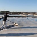 덕향의 미국편지(4327). 한국, 캄보디아 욕할 자격 없다! 끝난줄 알았던 염전 노예 확인해보니… 이미지