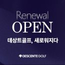 데상트골프 이미지