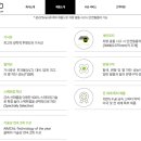 솔라가드프리미엄 - 성남시 분당구 동판교로52번길 19-22 | 솔라가드프리미엄