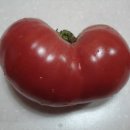 상은농장 이미지