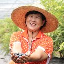 제일유기농