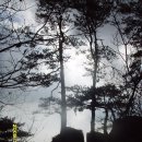 먹뱅이골 | 양평 도일봉('09.12.12)