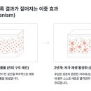 손끝차이 티스토리