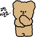 12/6 크리스마스 생화 트리 이미지