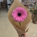 은평로21길 | 거베라 키우는 법 | 녹번역 꽃집에서 사서 일주일 키운 후기(물관리, 수명 연장 팁)🌸