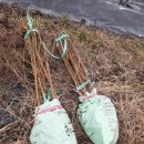 내척농장 이미지