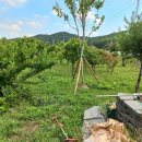 내남농장 이미지