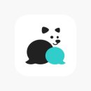 펫테리 이미지