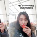 노산농장 이미지