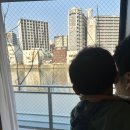 강세탁 | 8개월 아기랑 후쿠오카 숙소 추천 | 알파시오 리버사이드 스테이 하카타 나카스강뷰 가족여행 숙소 후기