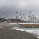 복성농장 이미지