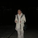 31횟집 Daum카페