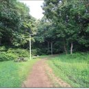 새솔학교 이미지