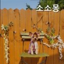 소소몽 | 일신리펜션 소소몽 프라이빗한 힐링 공간