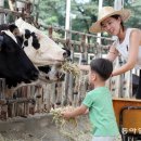 동아목장 이미지