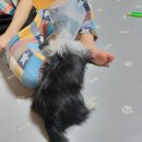 방배한강동물병원 이미지