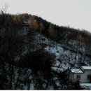 당호농장 Daum카페