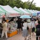 시민농산물