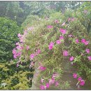 지식인력개발형태 이미지