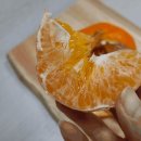 털보농산 이미지