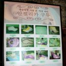 구두세상