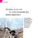 잘크는농장 이미지