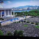 대통령정육식당 Daum카페