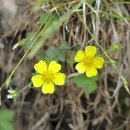 유동마을회관 이미지