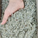 자연바다식품 이미지