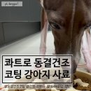안심농장 | 콰트로 동결건조 코팅 사료 수의사가 개발하고 유럽 자체 농장에서 생산한 안심 강아지 사료 후기