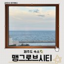 맹그로브 제주시티 | 제주 숙소 맹그로브 제주시티 제주 워케이션 이용 후기