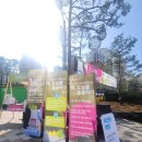 성북길빛도서관 | 성북구 길빛도서관 축제, 책 도심을 물들이다에 직접 다녀온 후기