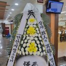 엠마오사랑병원 이미지