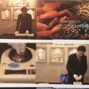 루시다호텔 이미지