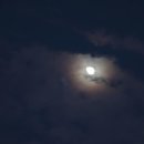 배롱나무 독채스테이 이미지