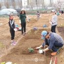 솔이농장 이미지