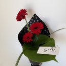 합포남성경로당 | <마산꽃집/창원꽃집/댓거리꽃집> 봄꽃다발 추천모음🪻