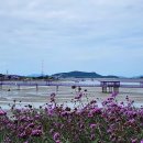 행정사사무실 이미지