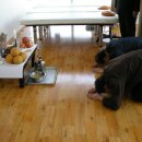 루치올라 빌딩 이미지