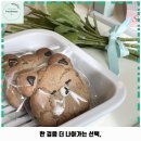 성덕동-3 | 성덕동 애견카페 체크이스트 가격 및 후기 추천 리뷰 주차 예약 알아볼까요
