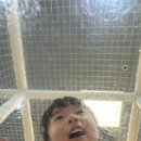 백번고기집 | 마산 아기랑 부모님 식당｜놀이방 있는 고기집 일품대패 내돈내산 후기