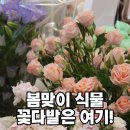 산호대로-15 이미지