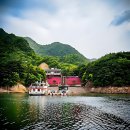 선장대형카 | 충주호유람선 여행 완벽 정리: 단양 여행 필수 코스 및 후기