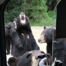 대전오월드 이미지