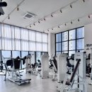 엑스포스짐 이미지