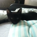 오형제보석 이미지