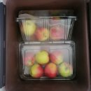 거성식품 | 농라 / 거성사과 루비에스 미니사과 내돈내산 후기